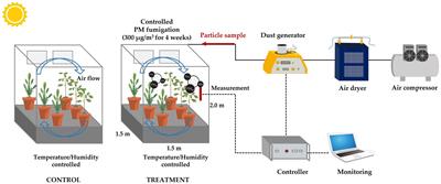 Adsorption of particulate matter and uptake of metal and non-metal elements from PM in leaves of Pinus densiflora and Quercus acutissima: a comparative study